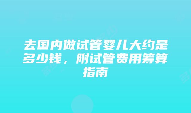 去国内做试管婴儿大约是多少钱，附试管费用筹算指南