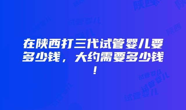 在陕西打三代试管婴儿要多少钱，大约需要多少钱！