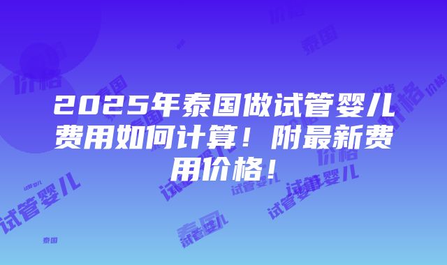 2025年泰国做试管婴儿费用如何计算！附最新费用价格！