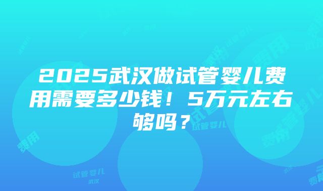 2025武汉做试管婴儿费用需要多少钱！5万元左右够吗？