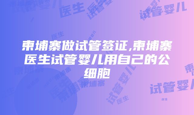 柬埔寨做试管签证,柬埔寨医生试管婴儿用自己的公细胞