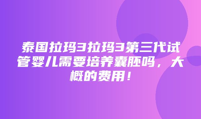 泰国拉玛3拉玛3第三代试管婴儿需要培养囊胚吗，大概的费用！