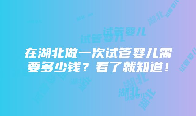 在湖北做一次试管婴儿需要多少钱？看了就知道！