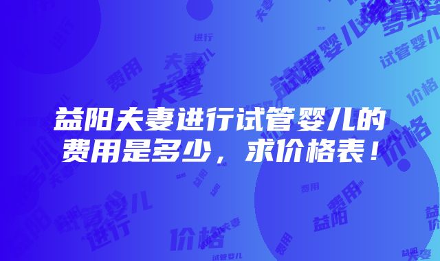 益阳夫妻进行试管婴儿的费用是多少，求价格表！