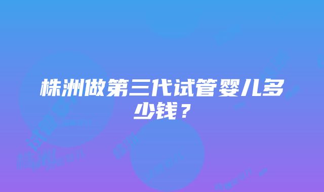 株洲做第三代试管婴儿多少钱？