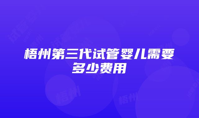 梧州第三代试管婴儿需要多少费用