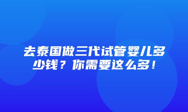 去泰国做三代试管婴儿多少钱？你需要这么多！