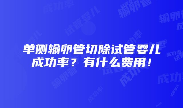 单侧输卵管切除试管婴儿成功率？有什么费用！