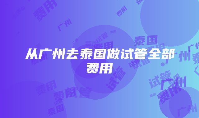 从广州去泰国做试管全部费用