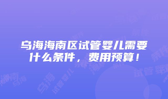 乌海海南区试管婴儿需要什么条件，费用预算！