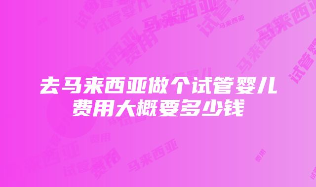 去马来西亚做个试管婴儿费用大概要多少钱