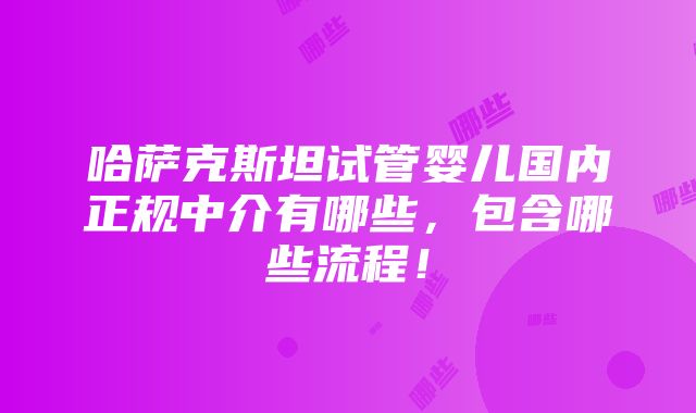 哈萨克斯坦试管婴儿国内正规中介有哪些，包含哪些流程！