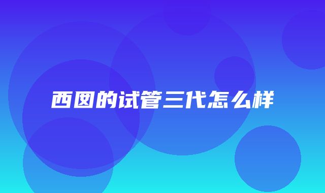 西囡的试管三代怎么样