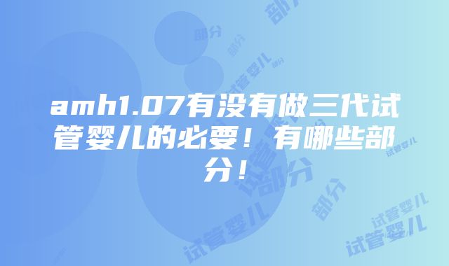 amh1.07有没有做三代试管婴儿的必要！有哪些部分！