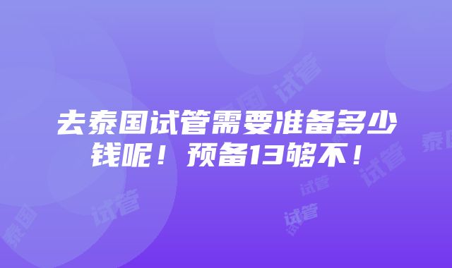 去泰国试管需要准备多少钱呢！预备13够不！