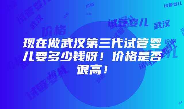 现在做武汉第三代试管婴儿要多少钱呀！价格是否很高！