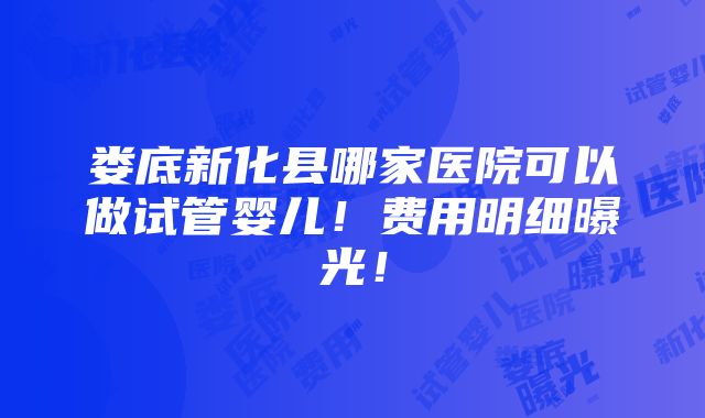 娄底新化县哪家医院可以做试管婴儿！费用明细曝光！