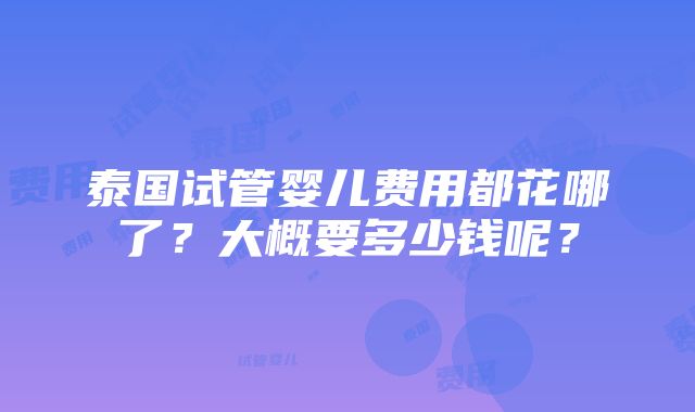 泰国试管婴儿费用都花哪了？大概要多少钱呢？