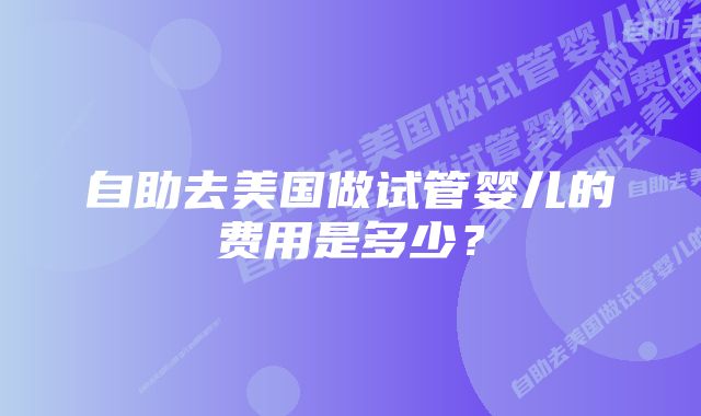 自助去美国做试管婴儿的费用是多少？