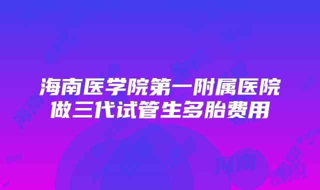 海南医学院第一附属医院做三代试管生多胎费用