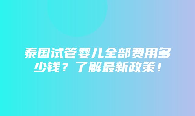 泰国试管婴儿全部费用多少钱？了解最新政策！