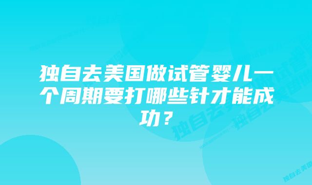 独自去美国做试管婴儿一个周期要打哪些针才能成功？