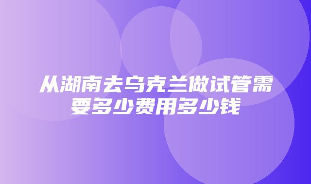 从湖南去乌克兰做试管需要多少费用多少钱