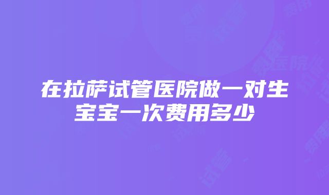 在拉萨试管医院做一对生宝宝一次费用多少