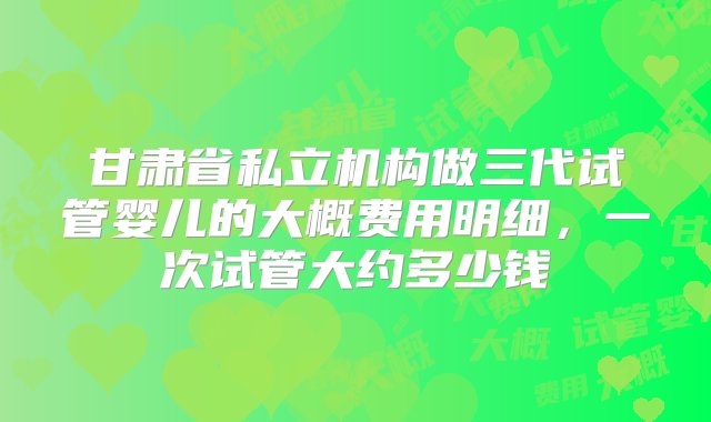 甘肃省私立机构做三代试管婴儿的大概费用明细，一次试管大约多少钱