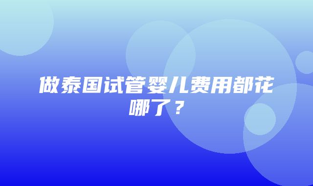 做泰国试管婴儿费用都花哪了？