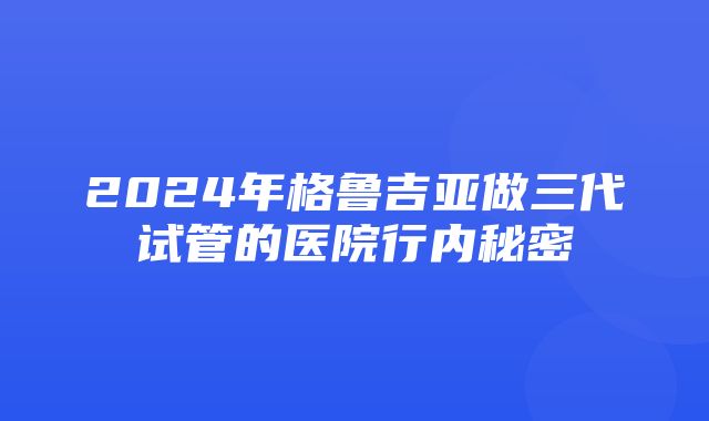 2024年格鲁吉亚做三代试管的医院行内秘密