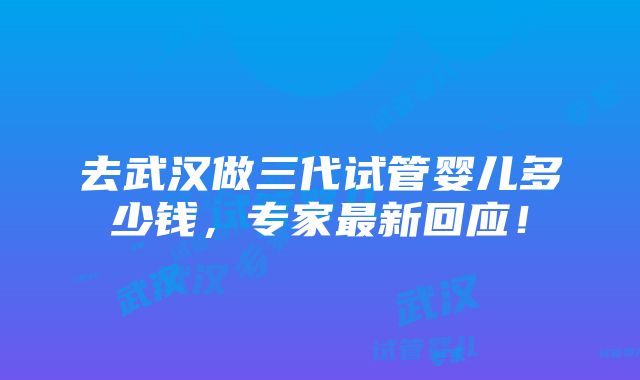 去武汉做三代试管婴儿多少钱，专家最新回应！