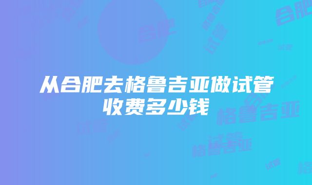 从合肥去格鲁吉亚做试管收费多少钱