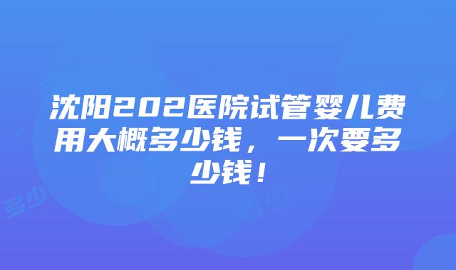 沈阳202医院试管婴儿费用大概多少钱，一次要多少钱！