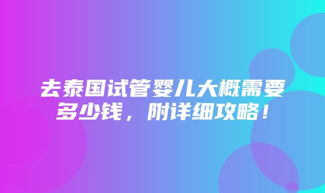 去泰国试管婴儿大概需要多少钱，附详细攻略！