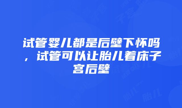 试管婴儿都是后壁下怀吗，试管可以让胎儿着床子宫后壁