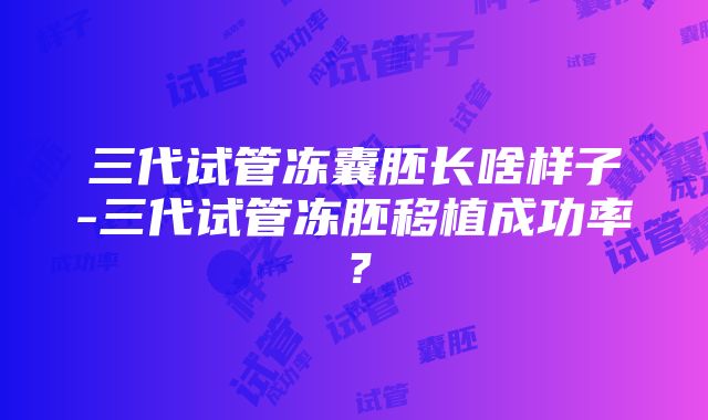 三代试管冻囊胚长啥样子-三代试管冻胚移植成功率？