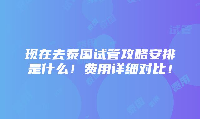 现在去泰国试管攻略安排是什么！费用详细对比！