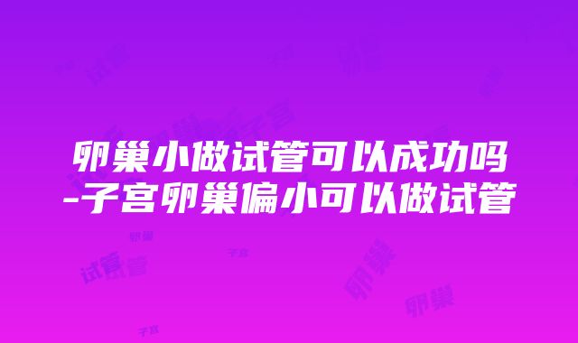 卵巢小做试管可以成功吗-子宫卵巢偏小可以做试管