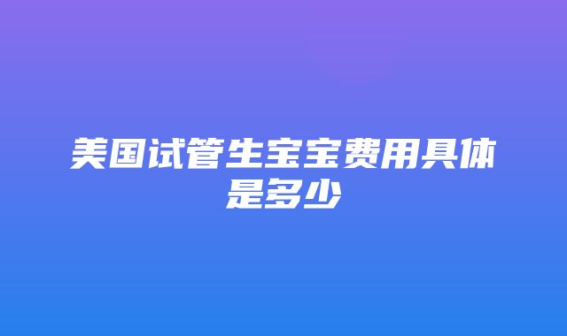 美国试管生宝宝费用具体是多少