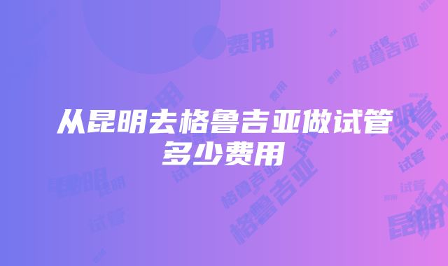 从昆明去格鲁吉亚做试管多少费用