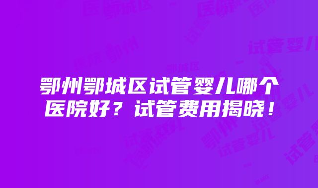 鄂州鄂城区试管婴儿哪个医院好？试管费用揭晓！