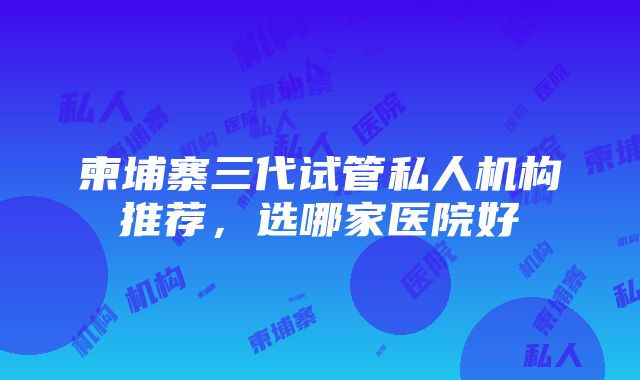 柬埔寨三代试管私人机构推荐，选哪家医院好