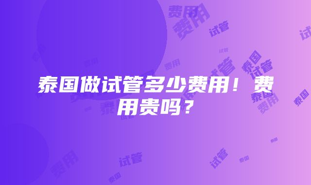 泰国做试管多少费用！费用贵吗？