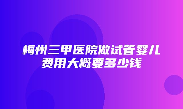 梅州三甲医院做试管婴儿费用大概要多少钱