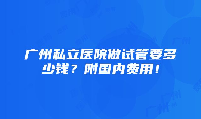 广州私立医院做试管要多少钱？附国内费用！