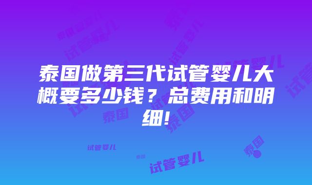 泰国做第三代试管婴儿大概要多少钱？总费用和明细!