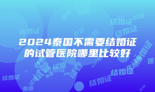 2024泰国不需要结婚证的试管医院哪里比较好