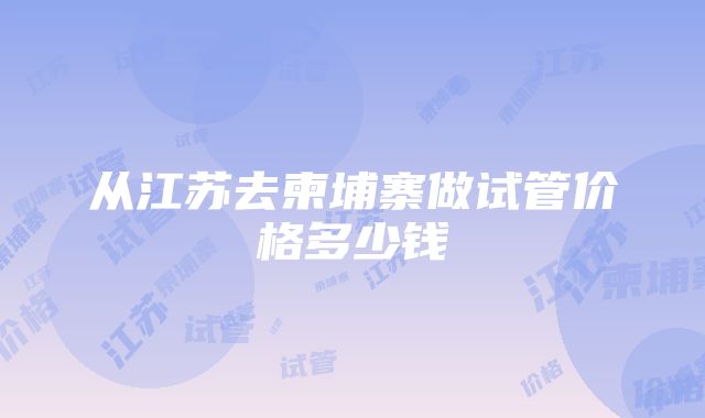 从江苏去柬埔寨做试管价格多少钱