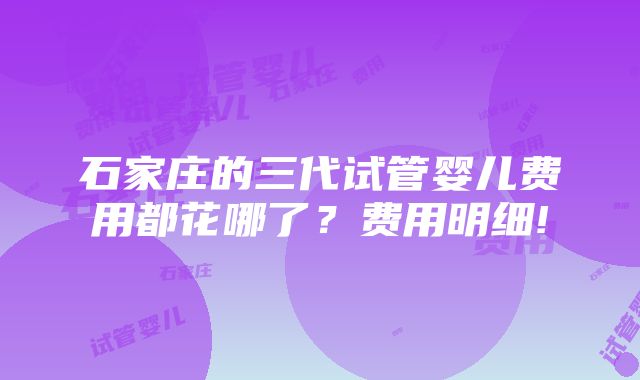 石家庄的三代试管婴儿费用都花哪了？费用明细!